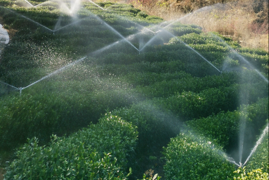 　图为头陀镇高效节水灌溉示范基地