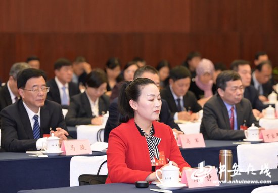 安徽代表团女代表参加团组会议