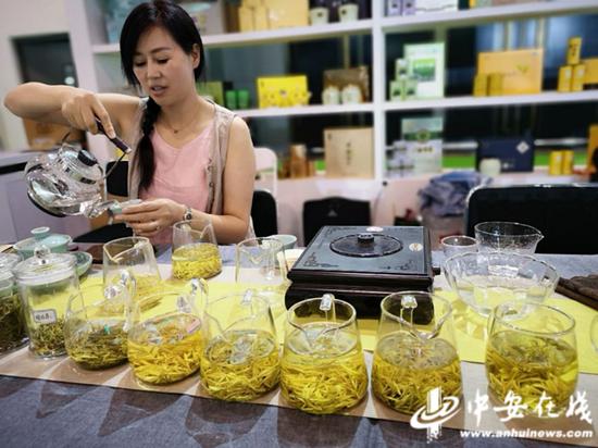 茶艺师泡制徽茶迎接各方宾客