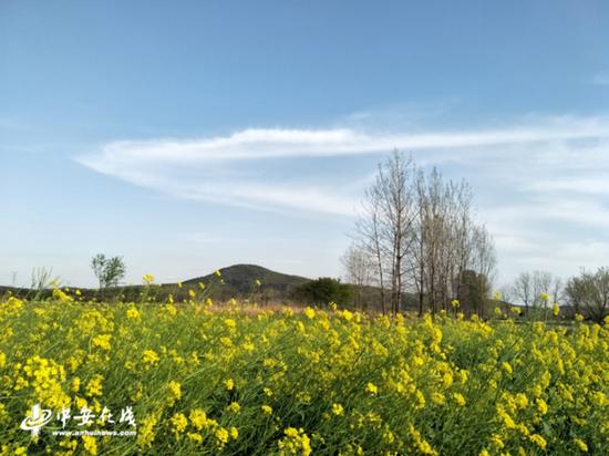 当地春天风光旖旎