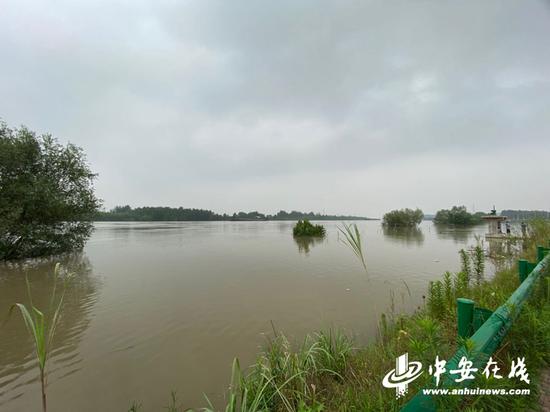 和悦洲附近，水位大幅上涨