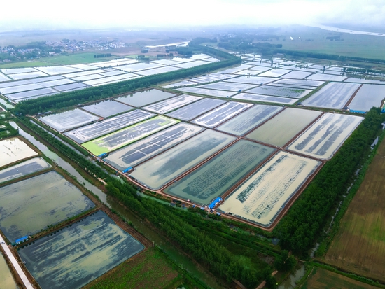 五河县人口_蚌埠五河县14镇 固镇县11镇的变迁 人口 土地 工业基本统计(2)