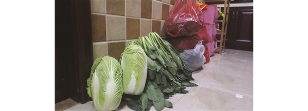 大白菜