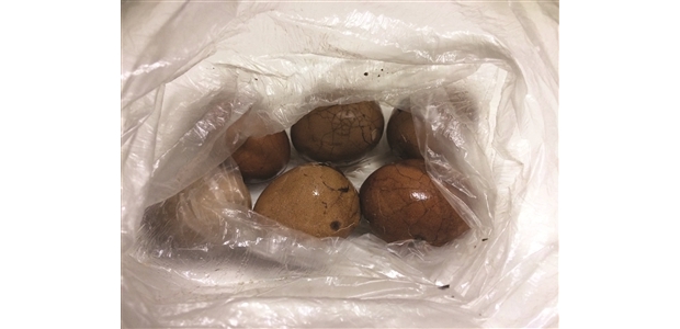 一袋茶叶蛋最贴心