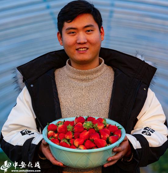 五河县西坝口村农耕食代草莓种植户在展示采摘的草莓