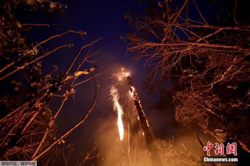 　　当地时间8月24日，亚马孙雨林的树木着火。