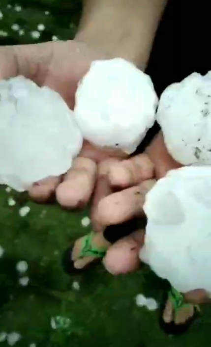 雹粒大过鸡蛋（视频截图）