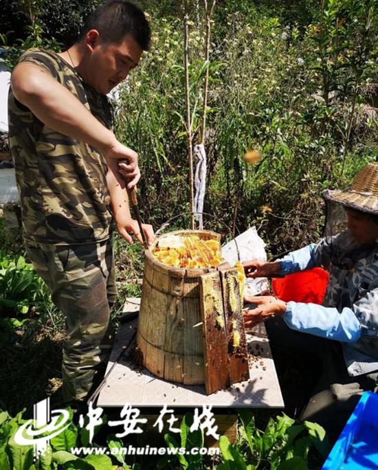 刘意和他的蜂蜜