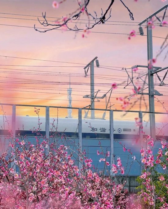 📍匡河公园&nbsp;@大V小威