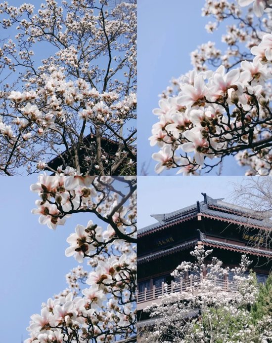 📍逍遥津公园&nbsp;&nbsp;@Story.