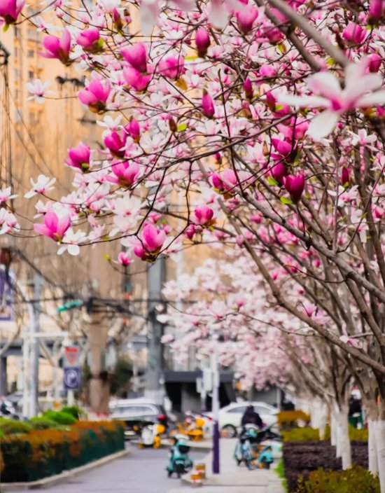  📍大通路&nbsp;&nbsp; @陈不二哇