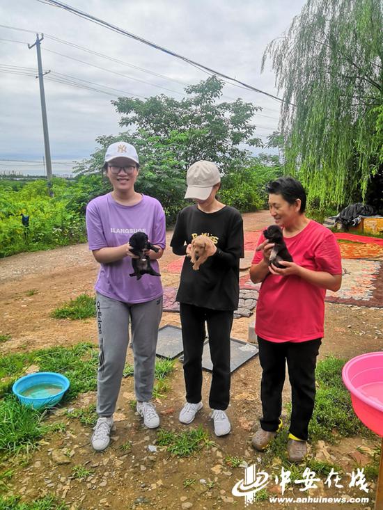 张泽在李长云救助基地救助流浪动物