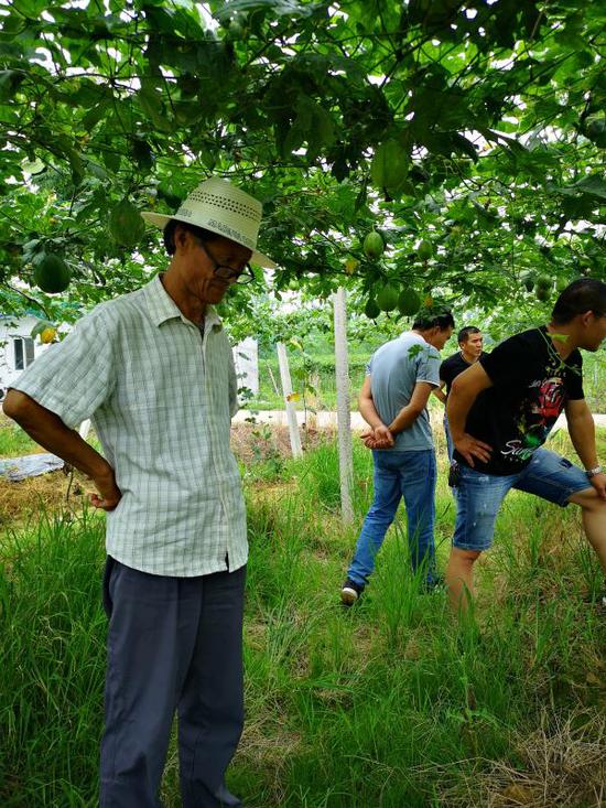  何家庆生前在瓜蒌田地里调研