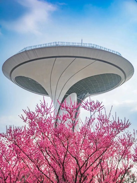 📍骆岗公园&nbsp;&nbsp;@清寒亦鸿