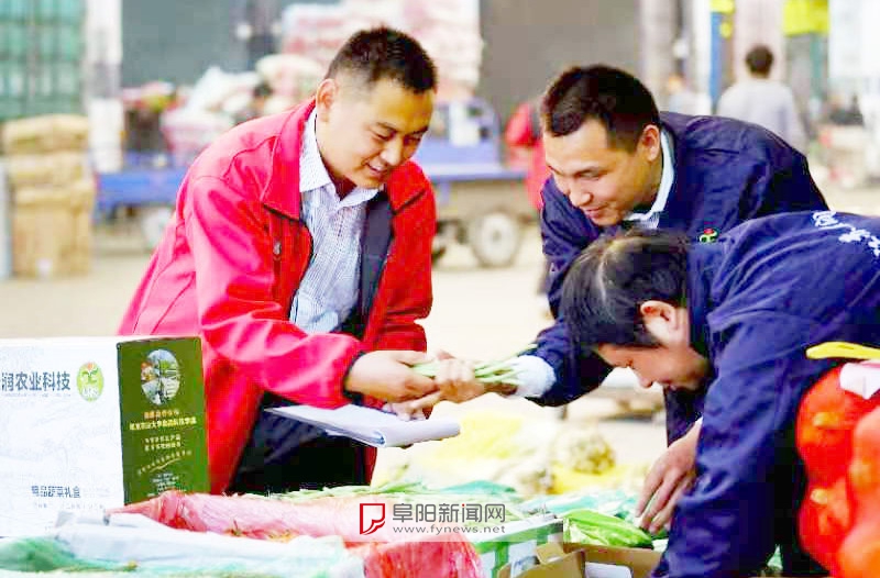 刘勇（左一）和刘志刚（左二）查看蔬菜