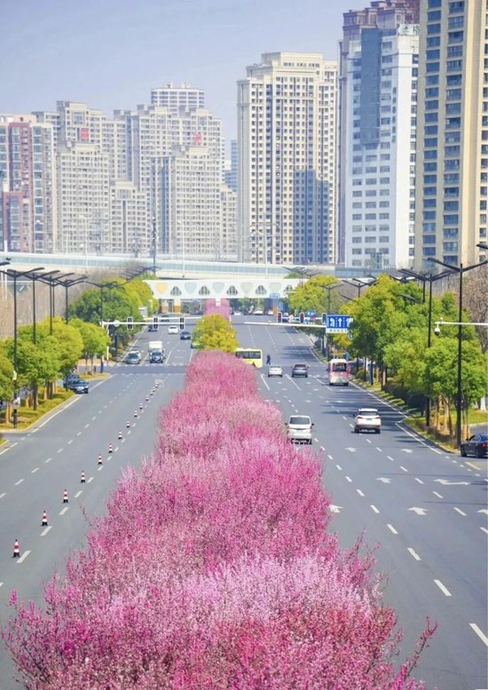 📍安徽大学磬苑校区门外的九龙路&nbsp;&nbsp; @另影