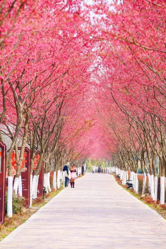  📍滨湖国家森林公园