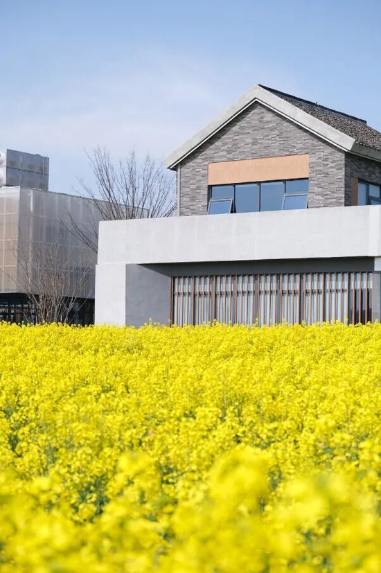 📍青年创意田园