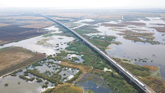 10月19日拍摄的十八联圩湿地风景。