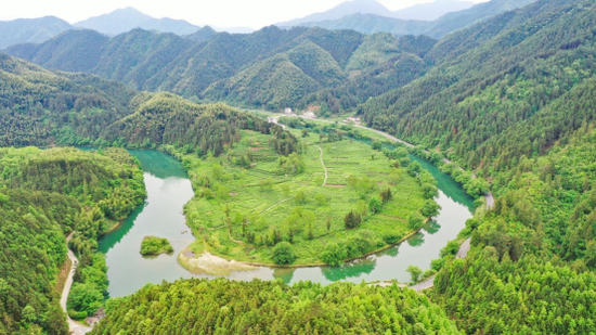 注重生态保护是三省一市的共同选择。图为流经皖浙两省的新安江。人民网记者 张俊摄