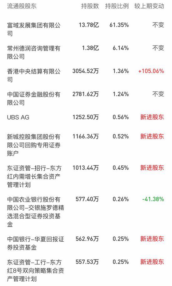 截至2019年一季度末，新城控股的十大流通股股东。