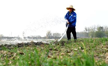 颍东区已完成麦地浇水面积10多万亩