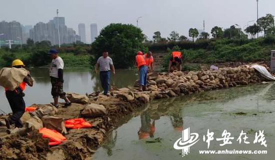 滨湖组建100人城管抗洪队