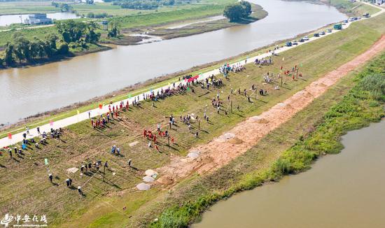 在安徽省芜湖市繁昌区漳河平铺镇大有圩，抢险队员正在参加打桩抢险科目演练竞赛