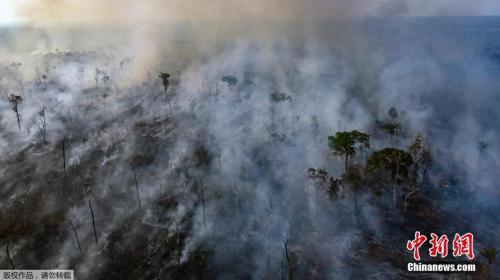 　航拍亚马孙雨林大火，现场浓烟滚滚。据报道，浓烟已经达到超百米的高度。