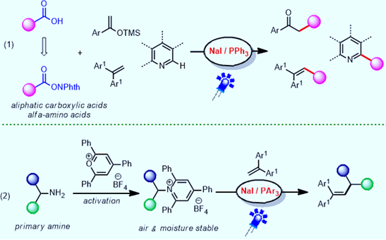光诱导非金属阴离子复合物催化的脱羧脱胺偶联反应