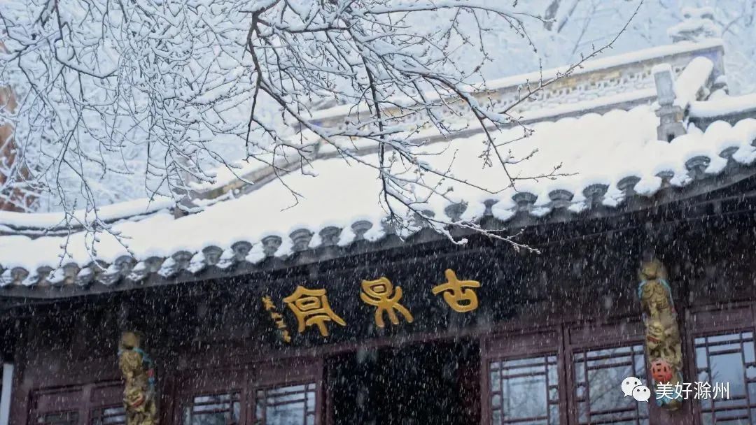 雪中欧梅