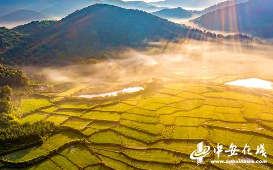 航拍芜湖市孙村镇八分村，村庄与青山、晨雾、田园相映，构成一幅美丽的生态画卷，美不胜收