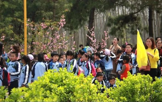 合肥市滨湖国家森林公园研学游