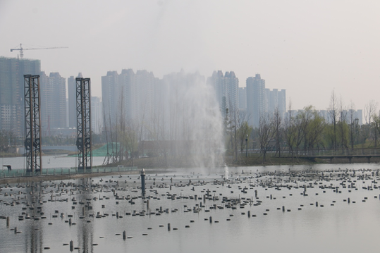 阜阳城市建设打出精致牌 城市出落得更美丽