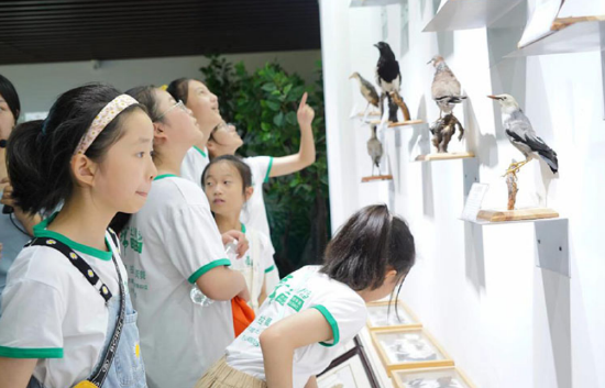 孩子们在柘皋河湿地公园自然教育中心参观鸟类展览。（巢湖半岛国家湿地公园管理中心供图）