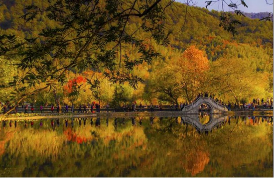  黟县宏村南湖秋景（图源：徽黄京黟旅游微信公众号）