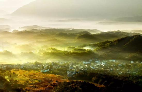 看查济小动物的江湖故事 方知日长似岁