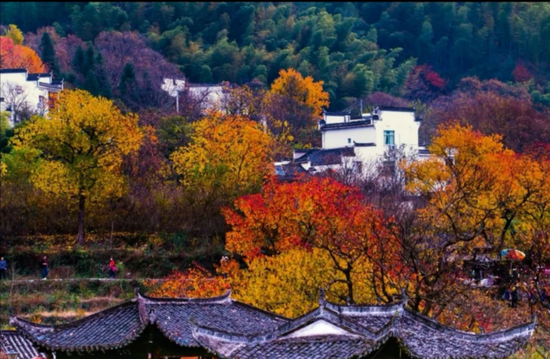 《令人陶醉的塔川秋色》(李建军/摄)