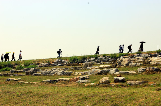 美景、美食、美拍 新浪安徽带队吃瓜