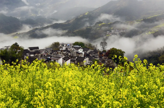坡山