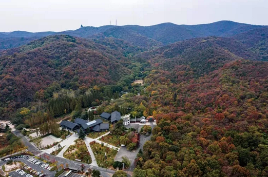 航拍滁州南京太仆寺。范循林/摄