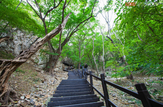 宿州市皇藏峪国家森林公园（图源：安徽省文化和旅游厅）