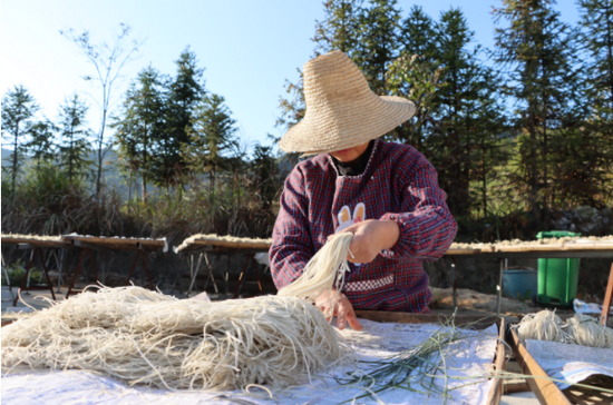 黄山区新丰乡:高山粉丝生产忙