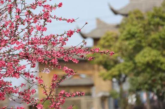 摄影:黄曙