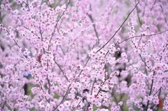 摄影:陈莹莹