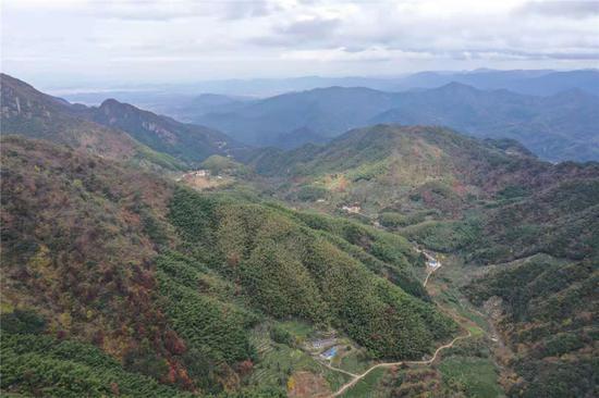 九华后海上的云海(浪里白条/图)