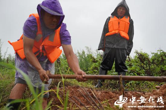 他们每天休息只有三四个小时