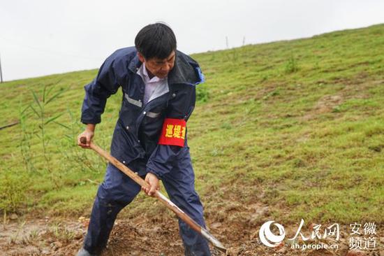 陶有金在圩堤上忙着导渗处理险情。