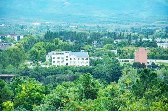 上海市白茅岭农场 (图源:摄影师胡恩泰)