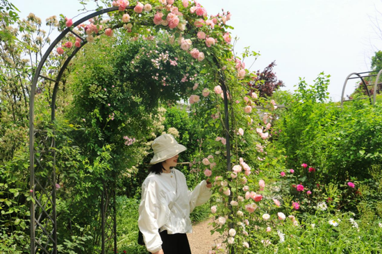 肥西县祥源花世界 星球花园 （图源：祥源花世界）